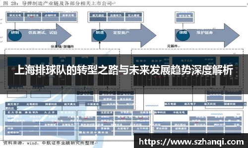 上海排球队的转型之路与未来发展趋势深度解析